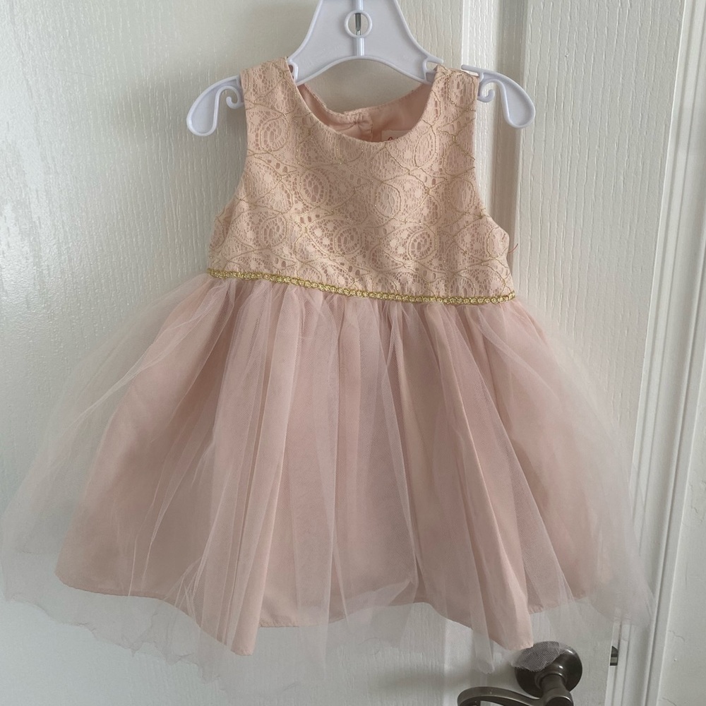 Cat and Jack tulle dress 18M